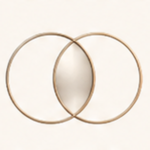 The Vesica Piscis